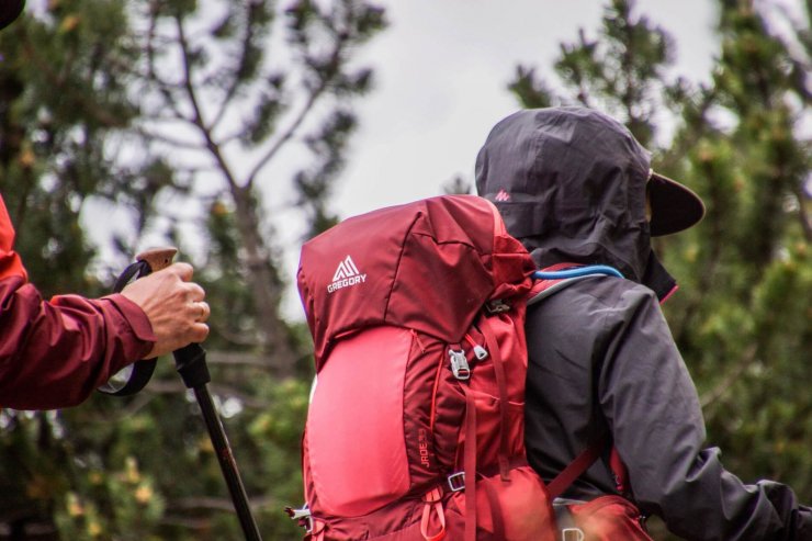 zobrazit detail snímku: Podzimní trekking.