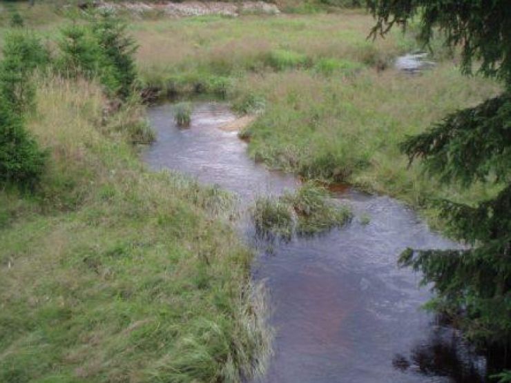 zobrazit detail snímku: Pohorský potok