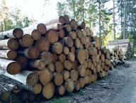 Šetřete přírodu používáním kvalitního paliva. Dřevěné brikety se vyplatí i z řady dalších důvodů (PR): Vzhledem k tomu, že lesy v Česku jsou v...
