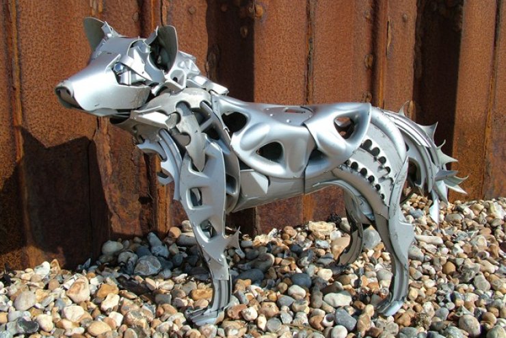 zobrazit detail snímku: Husky