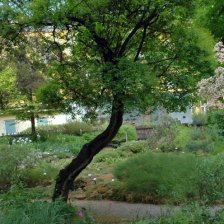 Botanická zahrada Brno 3
