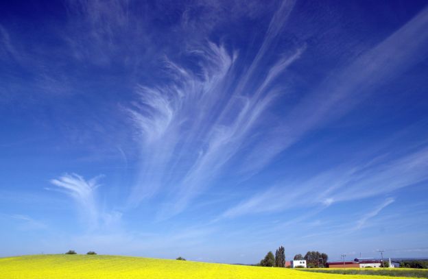 stáhnout tapetu: Mraky a řepka