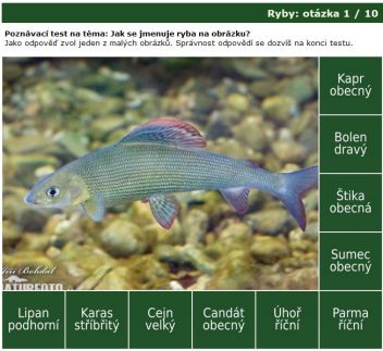 Poznávačka: Ryby - klikněte pro zobrazení detailu
