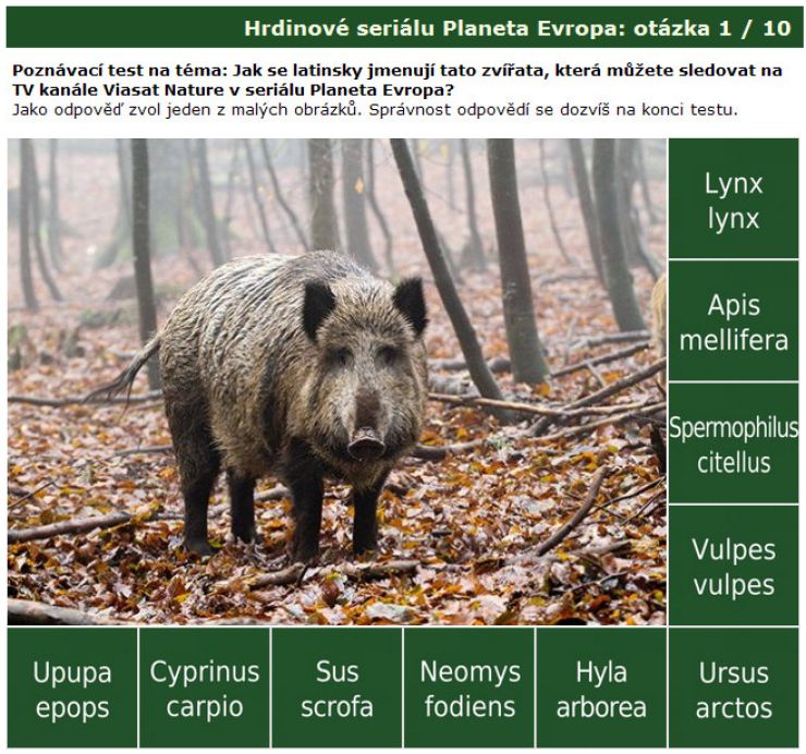 zobrazit detail snímku: Poznávačka Hrdinové seriálu Planeta Evropa