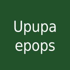 Upupa epops