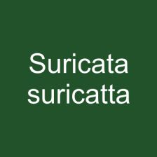 Suricata suricatta
