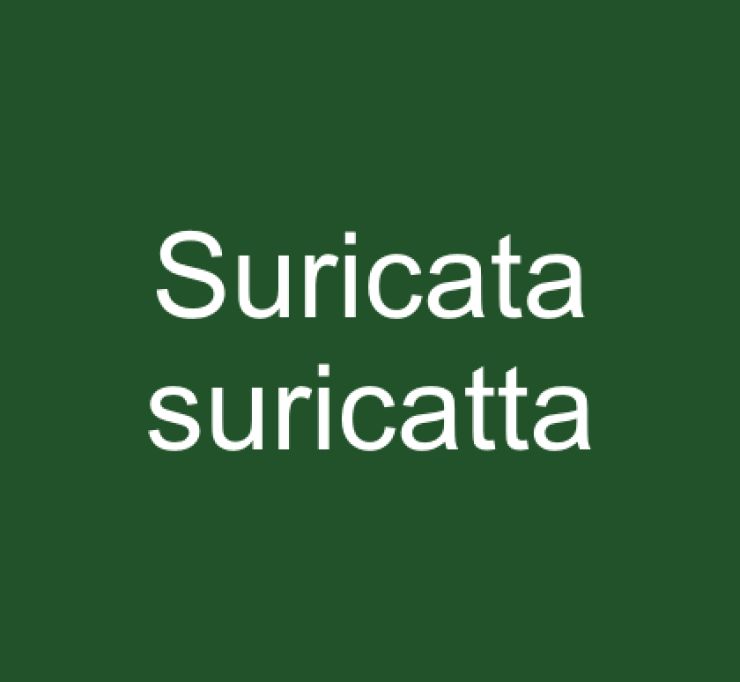 zobrazit detail snímku: Suricata suricatta
