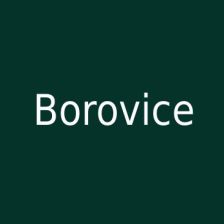 Borovice