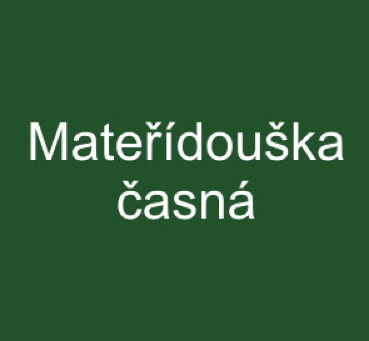 zobrazit detail snímku: Mateřídouška časná