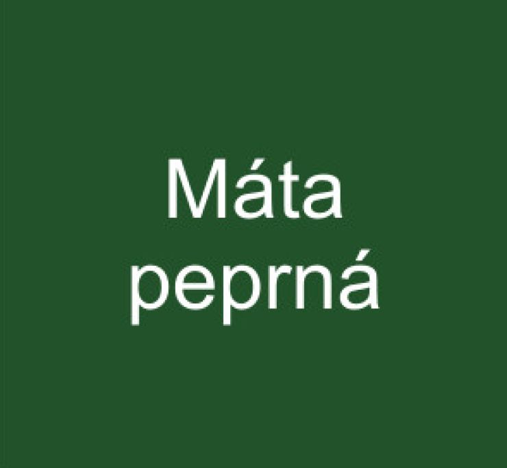 zobrazit detail snímku: Máta peprná