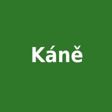 Káně Harrisovo