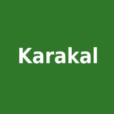 Karakal