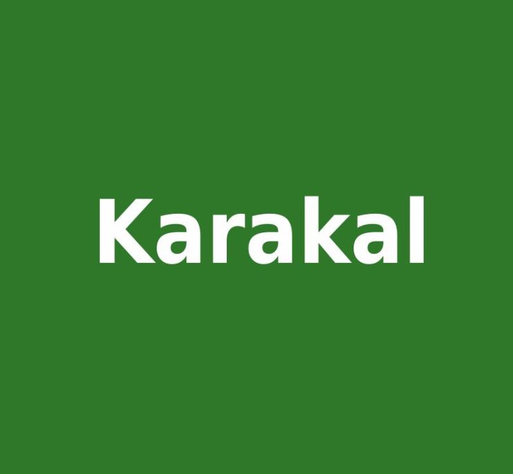 zobrazit detail snímku: Karakal