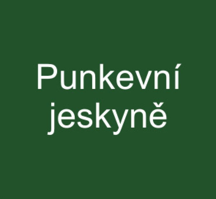 zobrazit detail snímku: Punkevní jeskyně