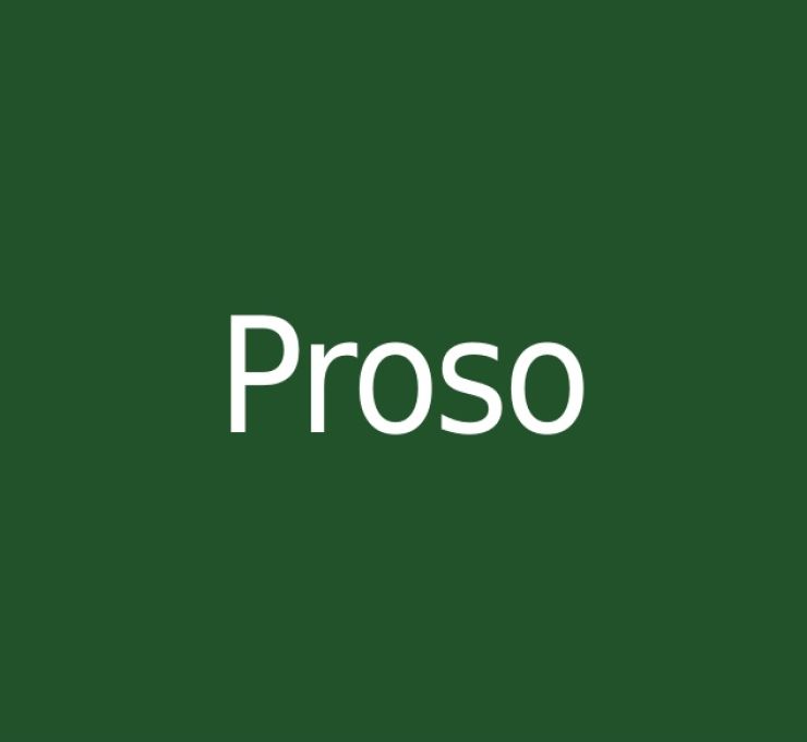 zobrazit detail snímku: Proso