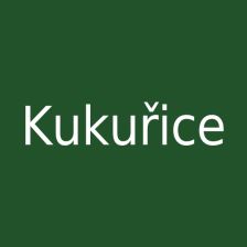 Kukuřice