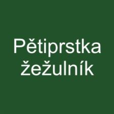 Pětiprstka žežulník