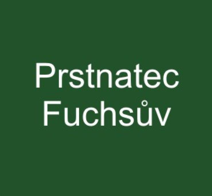 zobrazit detail snímku: Prstnatec Fuchsův pravý