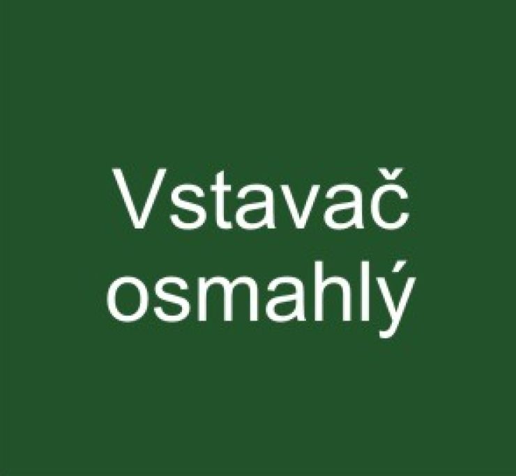 zobrazit detail snímku: Vstavač osmahlý