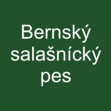 Bernský salašnický pes