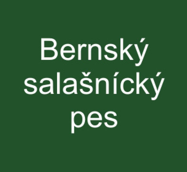 zobrazit detail snímku: Bernský salašnický pes