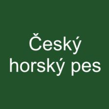 Český horský pes