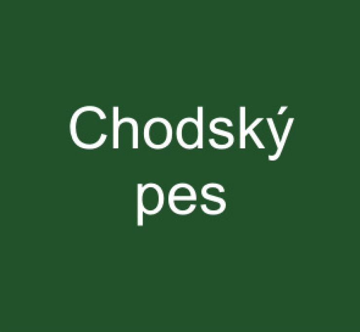 zobrazit detail snímku: Chodský pes
