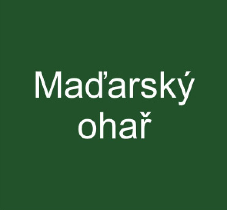 zobrazit detail snímku: Maďarský ohař