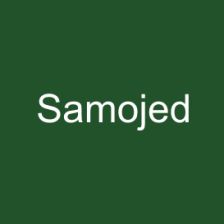 Samojed