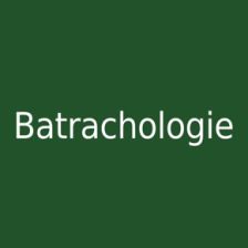 Batrachologie