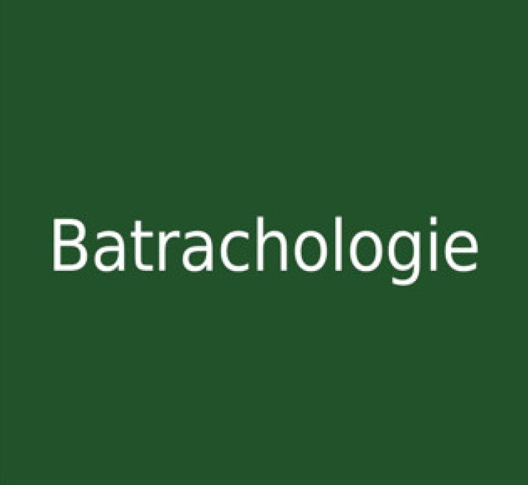 zobrazit detail snímku: Batrachologie