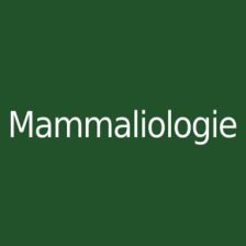 Mammaliologie