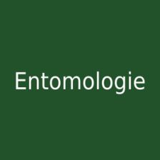 Entomologie