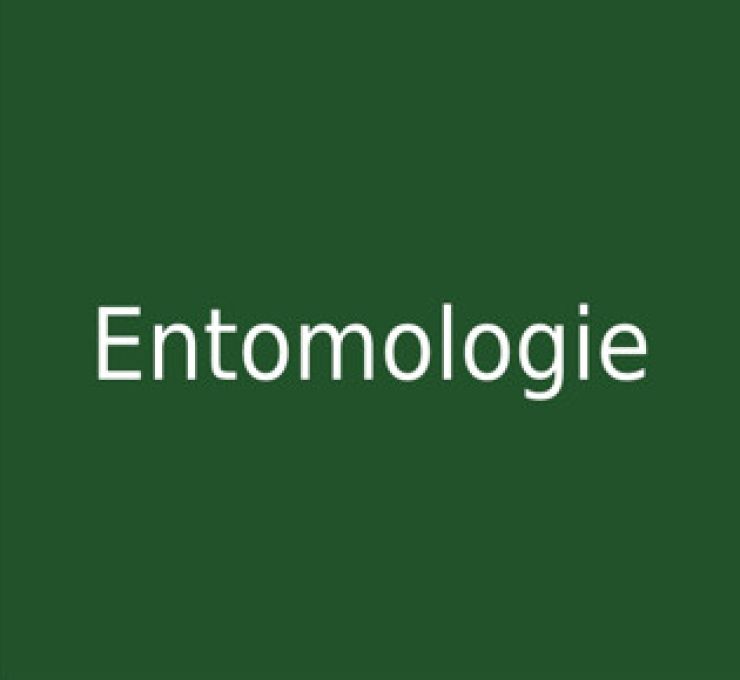 zobrazit detail snímku: Entomologie