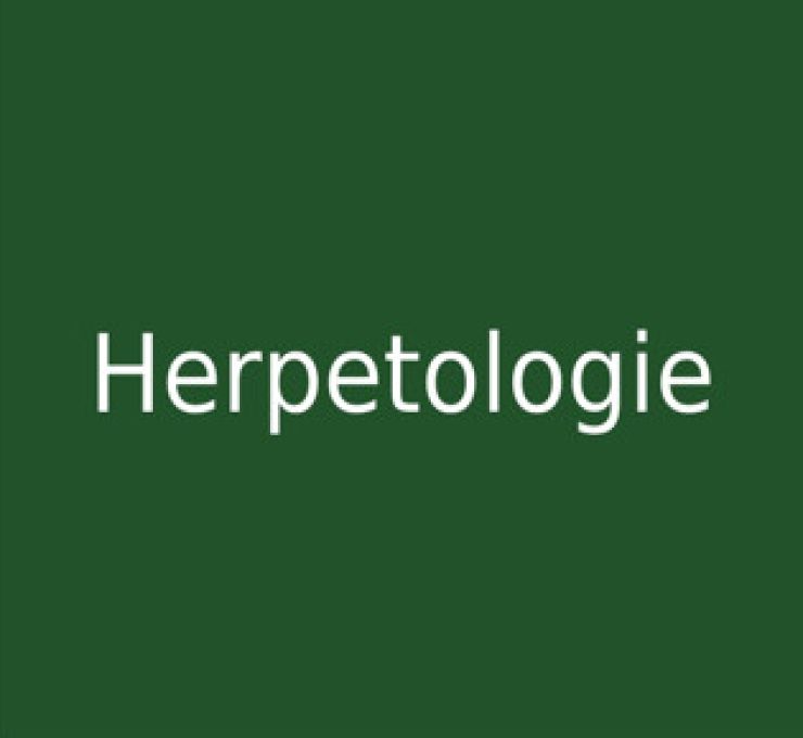 zobrazit detail snímku: Herpetologie