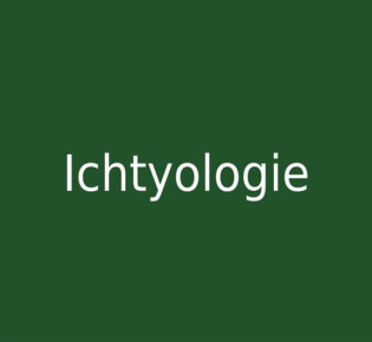 zobrazit detail snímku: Ichtyologie