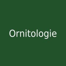 Ornitologie