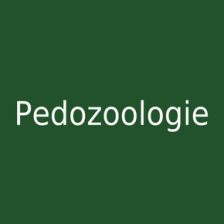 Pedozoologie