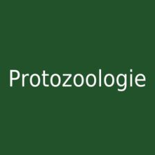 Protozoologie
