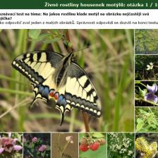 Poznávačka Živné rostliny housenek motýlů