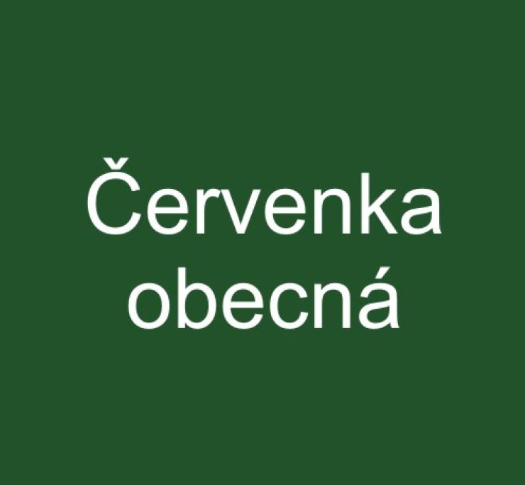 zobrazit detail snímku: Červenka obecná