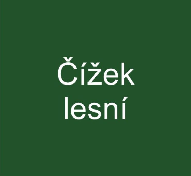 zobrazit detail snímku: Čížek lesní