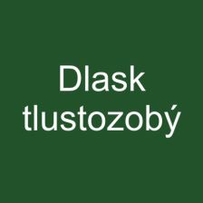 Dlask tlustozobý