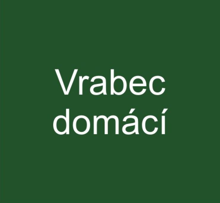 zobrazit detail snímku: Vrabec domácí