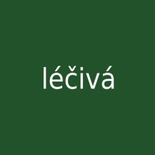 Léčivá houba
