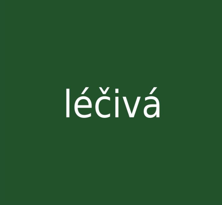 zobrazit detail snímku: Léčivá houba