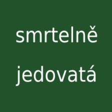 Smrtelně jedovatá houba