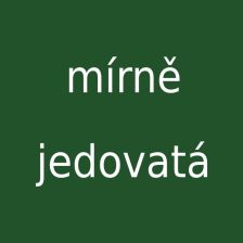 Mírně jedovatá houba
