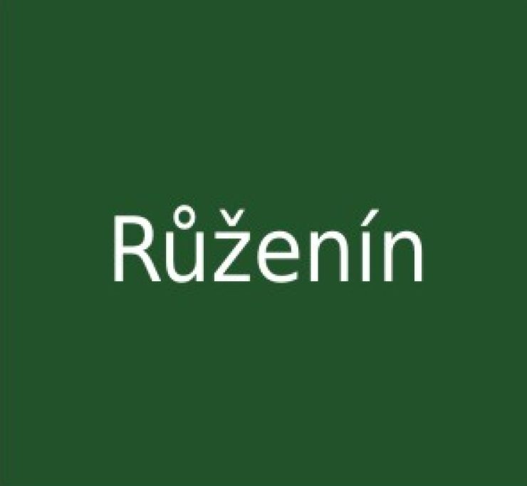 zobrazit detail snímku: Poznávačka křemenů - Růženín
