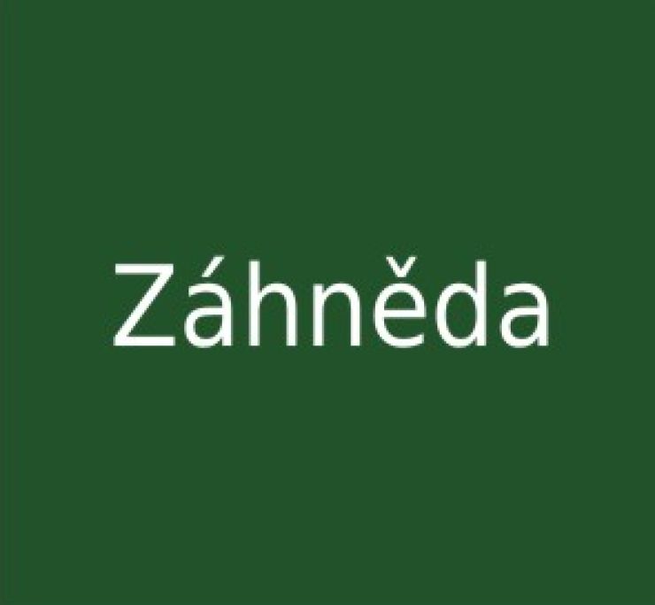zobrazit detail snímku: Poznávačka křemenů - Záhněda
